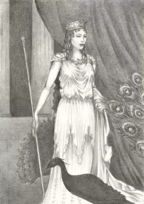 تصویر انواع شخصیت هرا